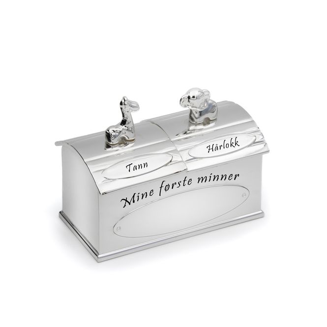 Hovedbilde Tann og Hår med Giraff og ...