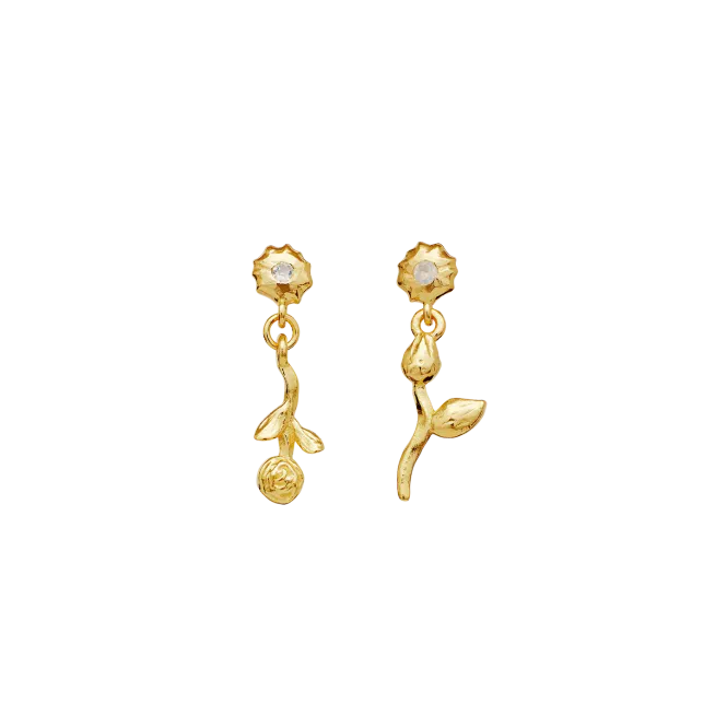 Hovedbilde Maanesten Amaria øredobber ...