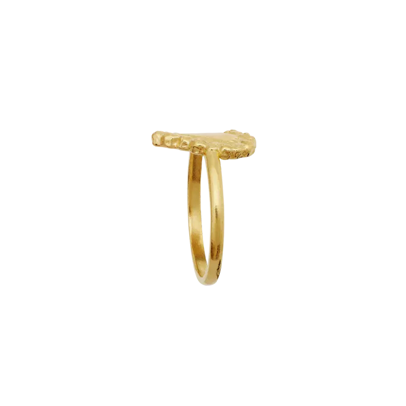 Maanesten Abra ring forgylt