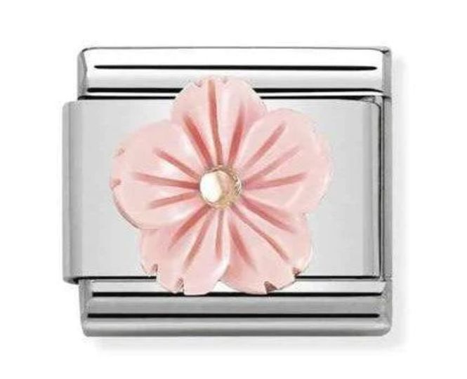 Hovedbilde Nomination Blomst Links i ...