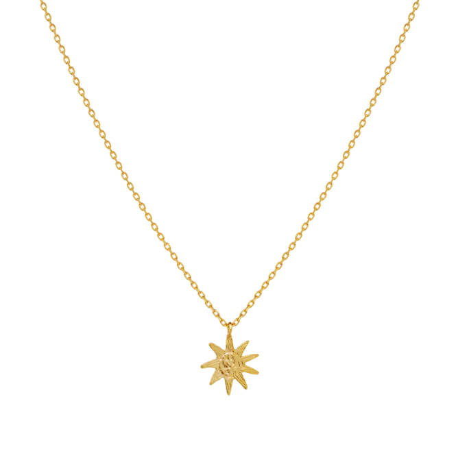 Hovedbilde Maanesten Soleima forgylt ...