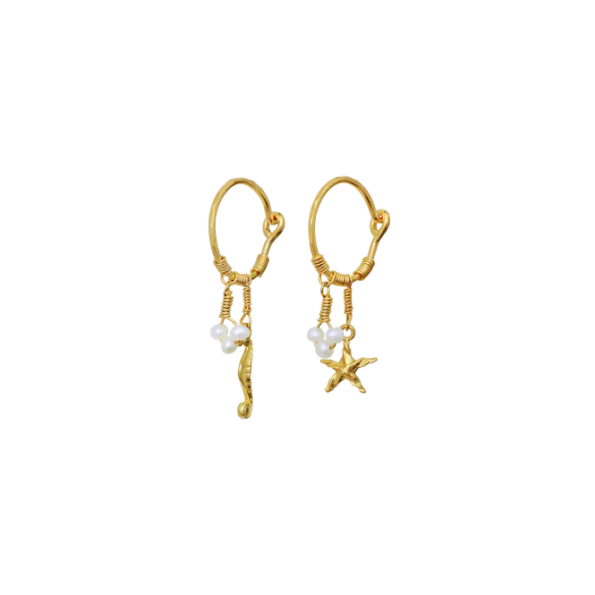 Hovedbilde Maanesten Momi Øredobber ...