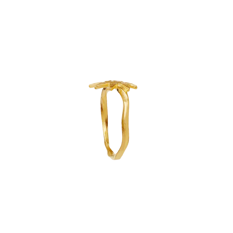 Maanesten Sonja forgylt ring