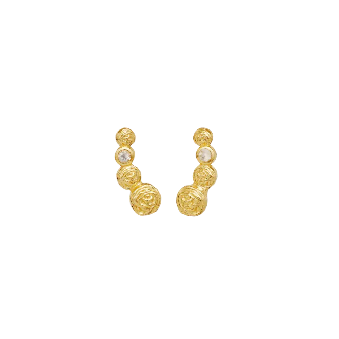 Hovedbilde Maanesten Diantha  øredobber ...